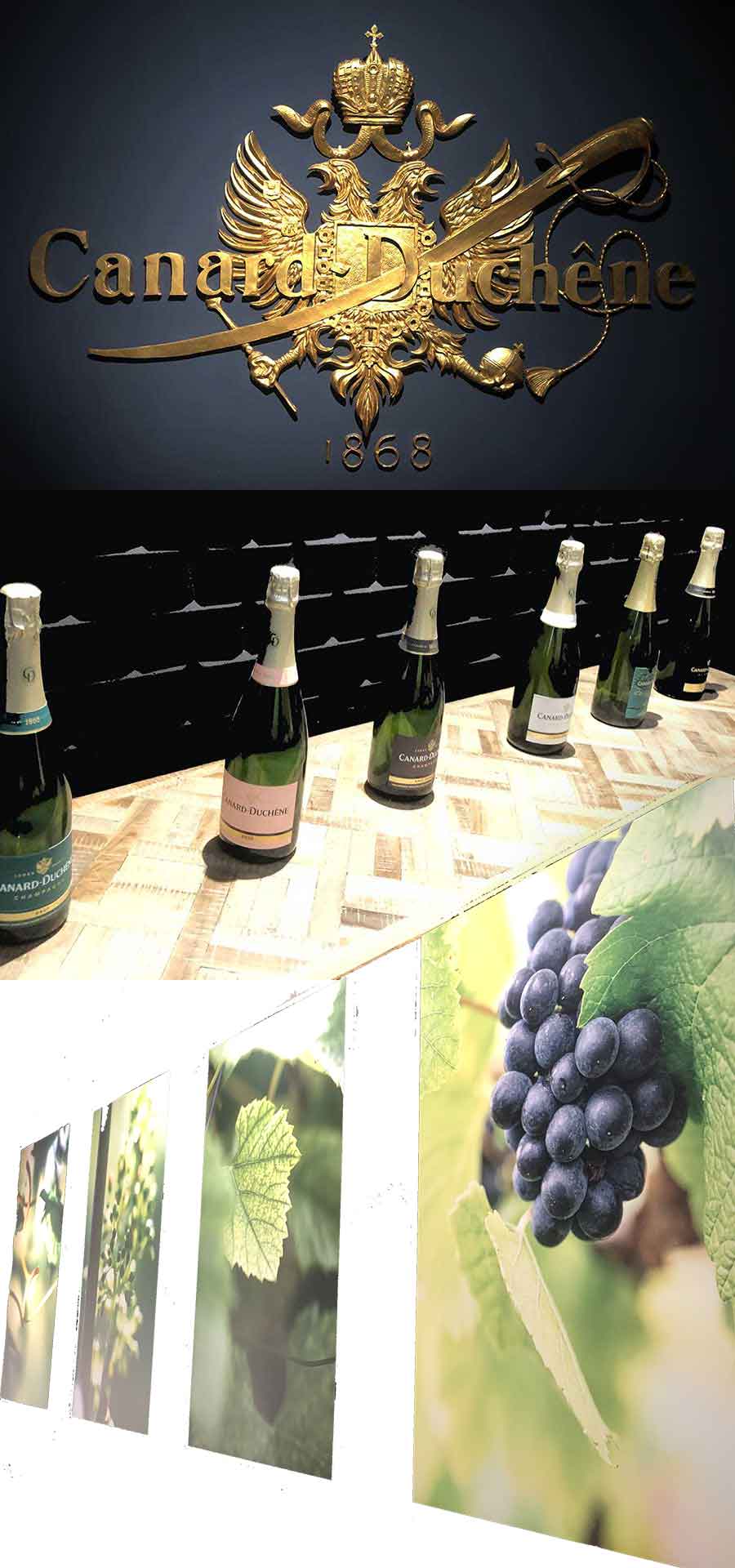 Caves de Champagne Canard-Duchêne à Ludes en Montagne de Reims