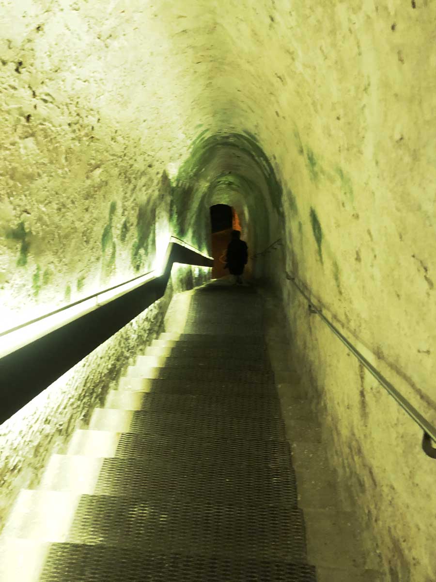Caves de Champagne Canard-Duchêne à Ludes en Montagne de Reims