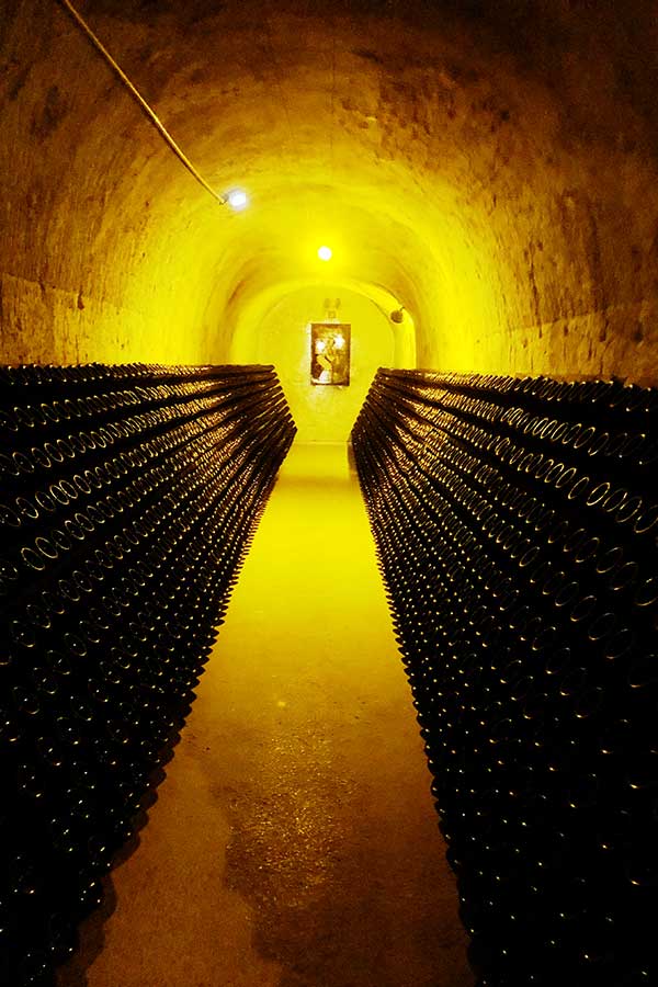 Caves de Champagne Canard-Duchêne à Ludes en Montagne de Reims