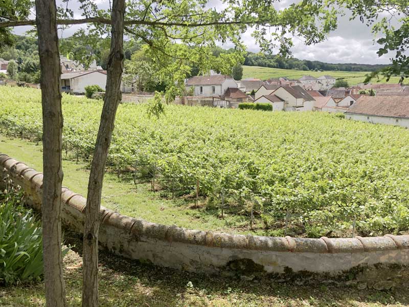 Caves de Champagne Canard-Duchêne à Ludes en Montagne de Reims