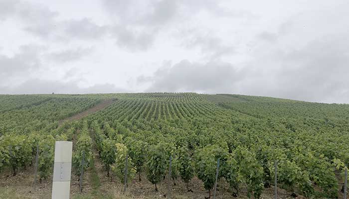 Hyundai Inster sur la route vers la Champagne